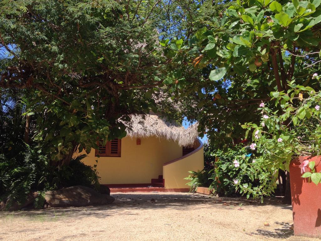 Troncones Point Hostel Экстерьер фото