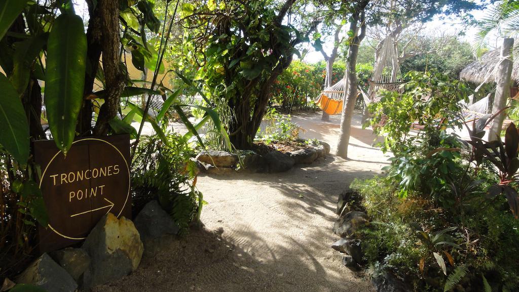 Troncones Point Hostel Экстерьер фото